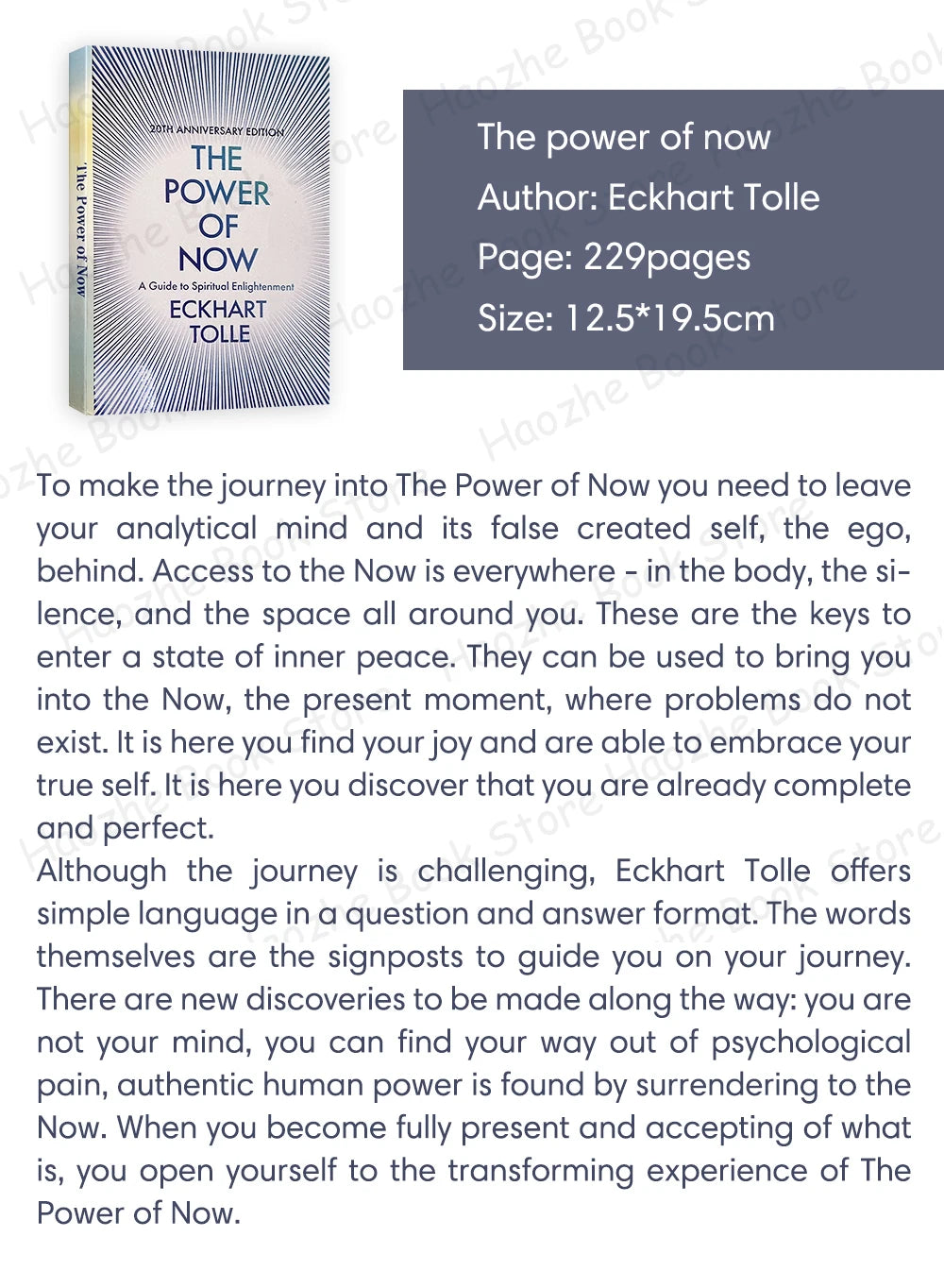 The Power of Now Book